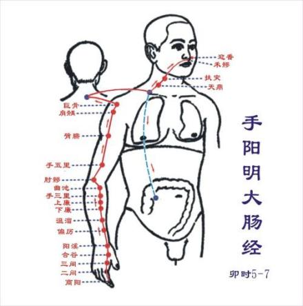 腧穴