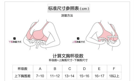 胸罩标准尺寸参照表