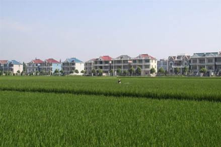 行政村