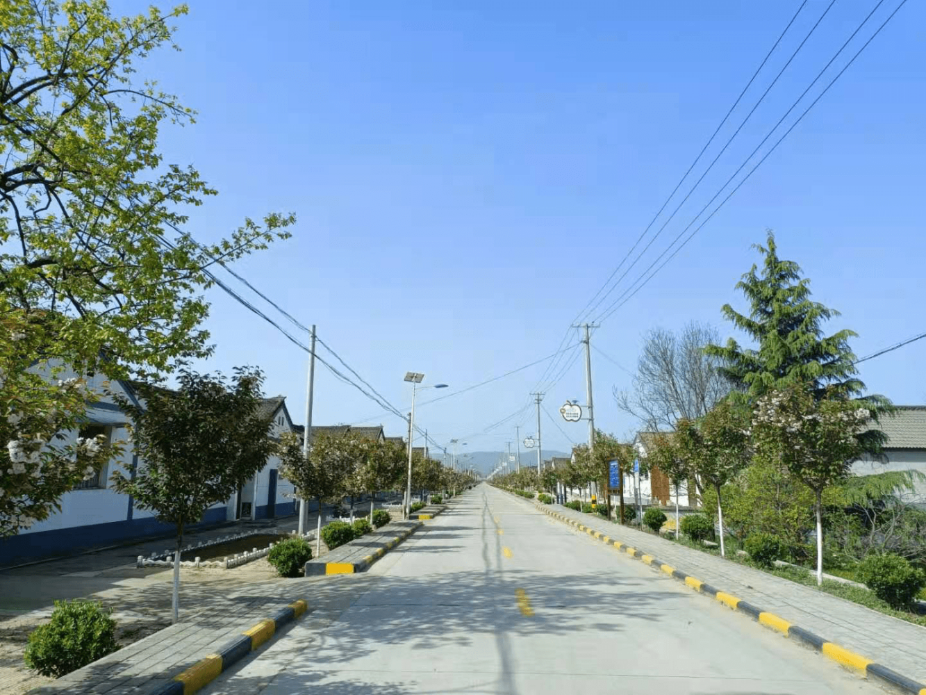 张家塬镇曹家塬村