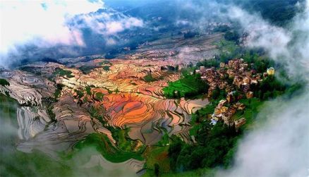 红河哈尼梯田 
