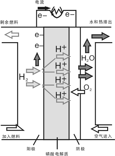 PAFC燃料电池基本结构