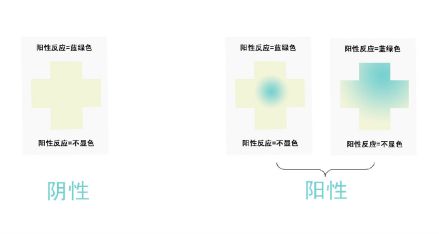 阳性结果对照图