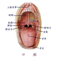口腔卫生