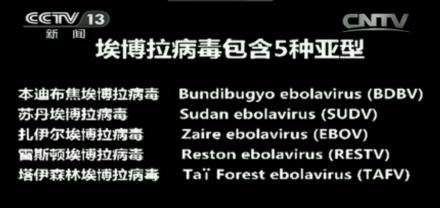 央视纪录片截图 