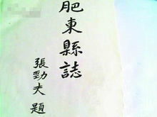 肥东县志