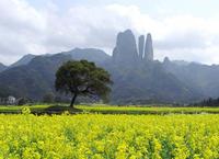 丹霞地貌(江郎山)