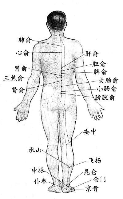 人体穴位
