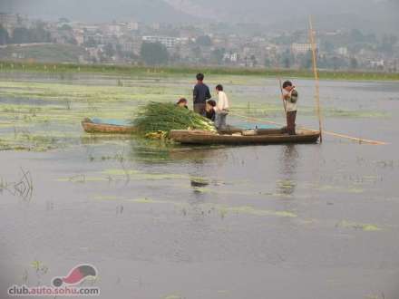人与生物圈计划影像