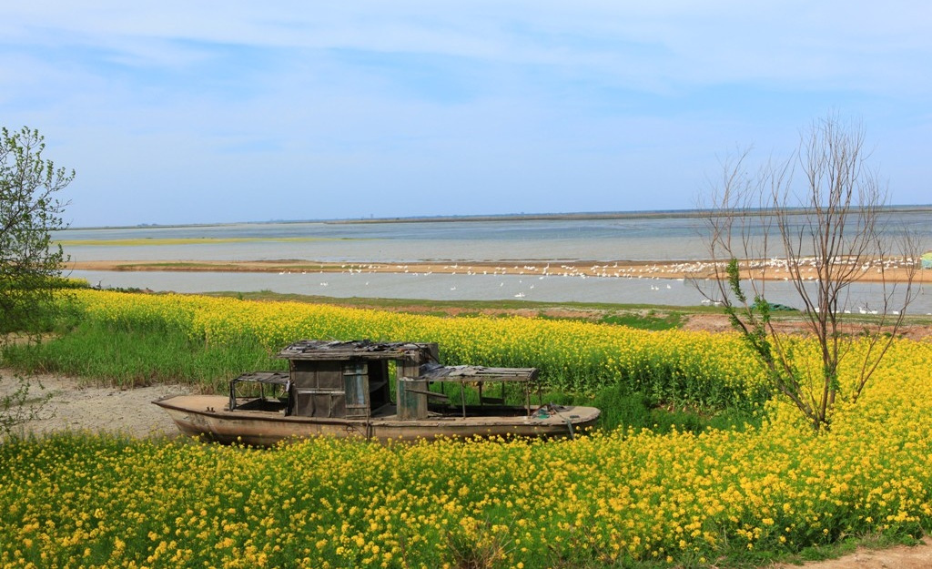 邵伯湖邗江区公道镇境内湖面