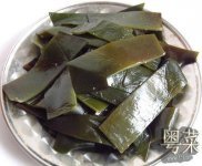 孢子植物