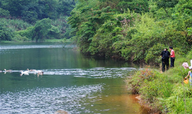 金龟村山水