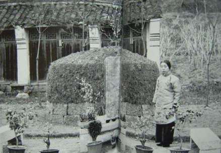 吴芝瑛