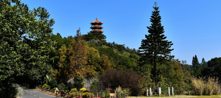龙尊塔