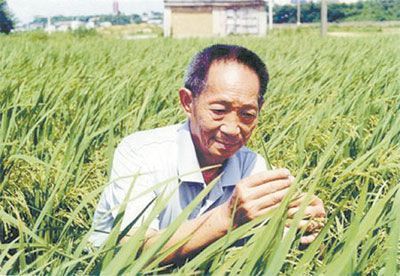 袁隆平是当代无党派人士的优秀代表