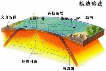 板块构造