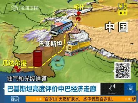相关报道