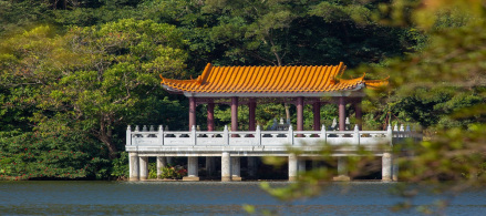 吟红瞰碧