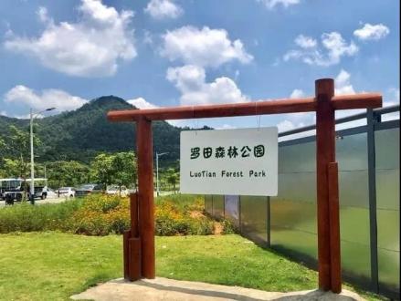 罗田森林公园