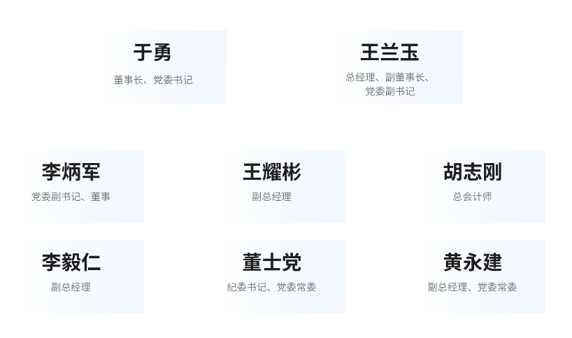 河钢集团有限公司领导团队 