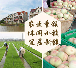 大团镇掠影