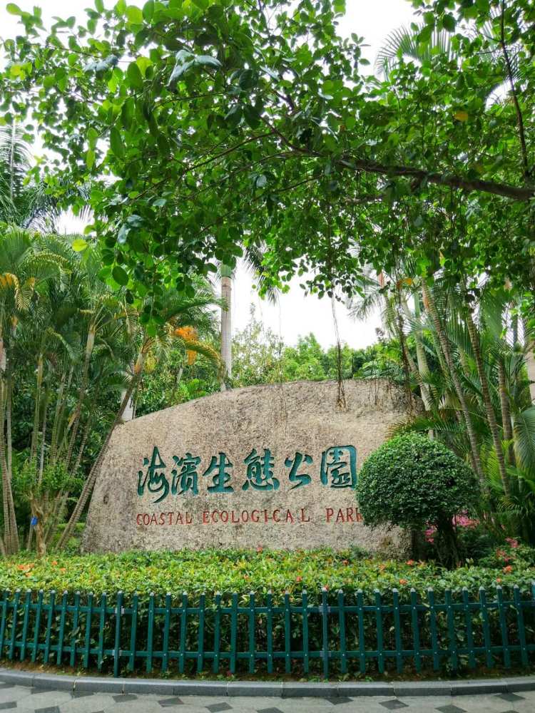红树林海滨生态公园