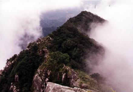 排牙山