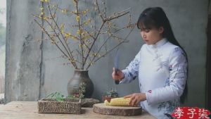 李子柒 李子柒