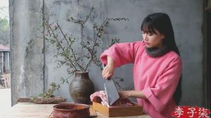 李子柒 李子柒