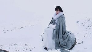 李子柒 李子柒