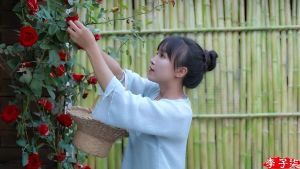 李子柒 李子柒