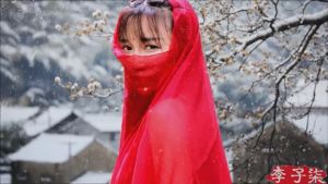 李子柒 李子柒