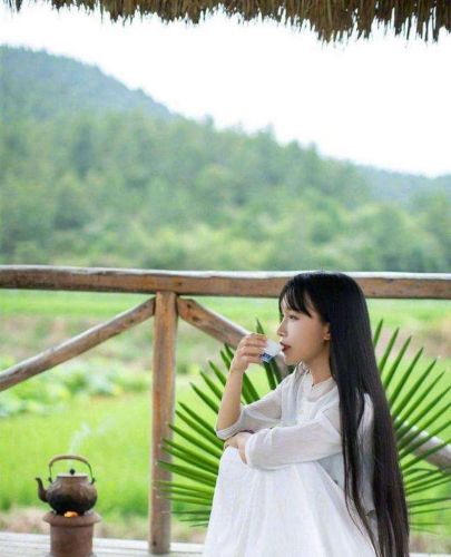 李子柒 李子柒