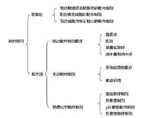 靶向制剂分类