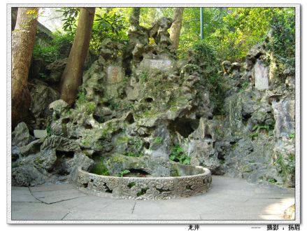 龙井问茶