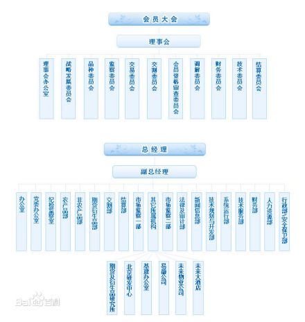 组织架构