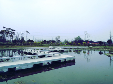 西北村湿地