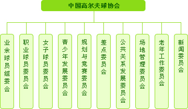 中高协会下属分会 