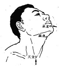 承浆穴