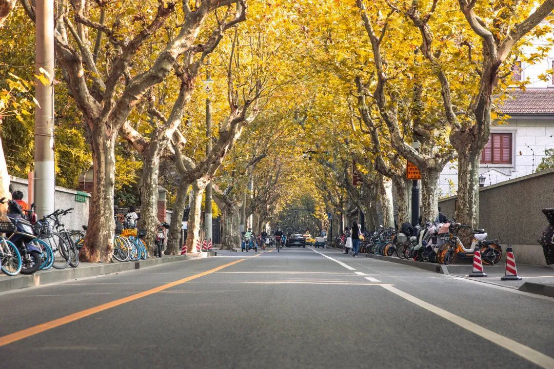 思南路