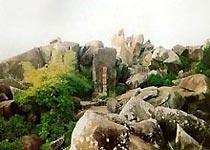 东山岭