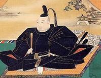 德川家康（幕府将军）