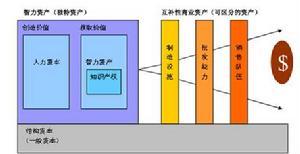 智力资本