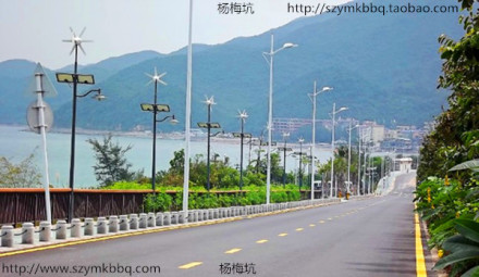 杨梅坑