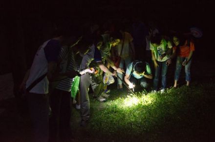 2014年上海植物园“暗访夜精灵”活动 