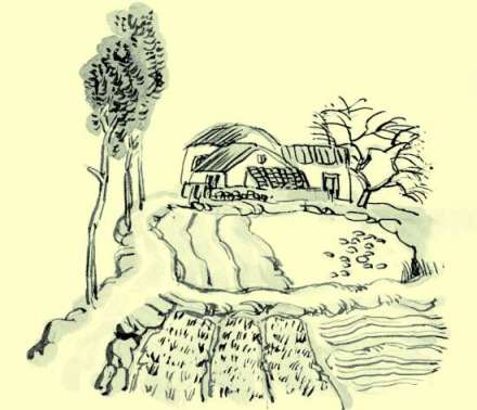 谚语插图