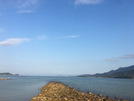 坝光村