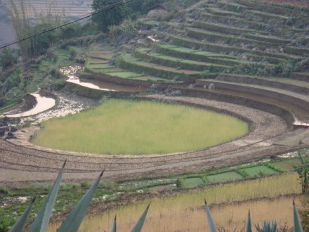 土地资源