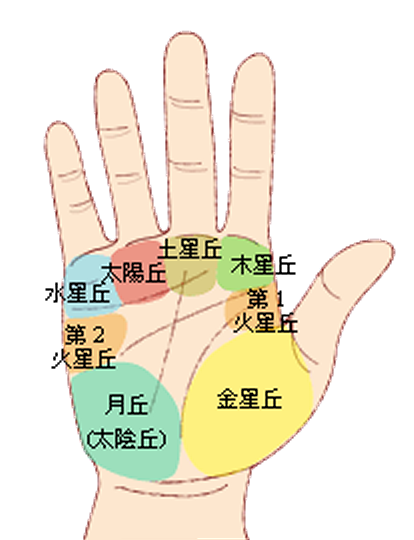 八大丘手相