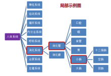 思维方法